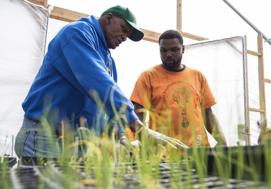 In this April 24, 2017 photo, founder and CEO of Growing Power, Will Allen, left, shows  Yatte Moore, farm manager of Blackhawk Courts Farms and Garden, in Rockford, Ill., how to maintain moisture levels in seed beds. Allen, a former professional basketball player, founded Growing Power Inc., and is a pioneer of urban agriculture in America. Moore is among those that found inspiration, and has been tending to an urban farm in a public housing complex in southeast Rockford for almost five years. (Kayli Plotner/Rockford Register Star via AP)