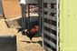 major_la_cockfighting_raid_71692.jpg