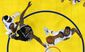 spurs_warriors_basketball_50575.jpg