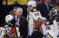 ducks_predators_hockey_62385.jpg