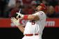 white_sox_angels_baseball_17428.jpg