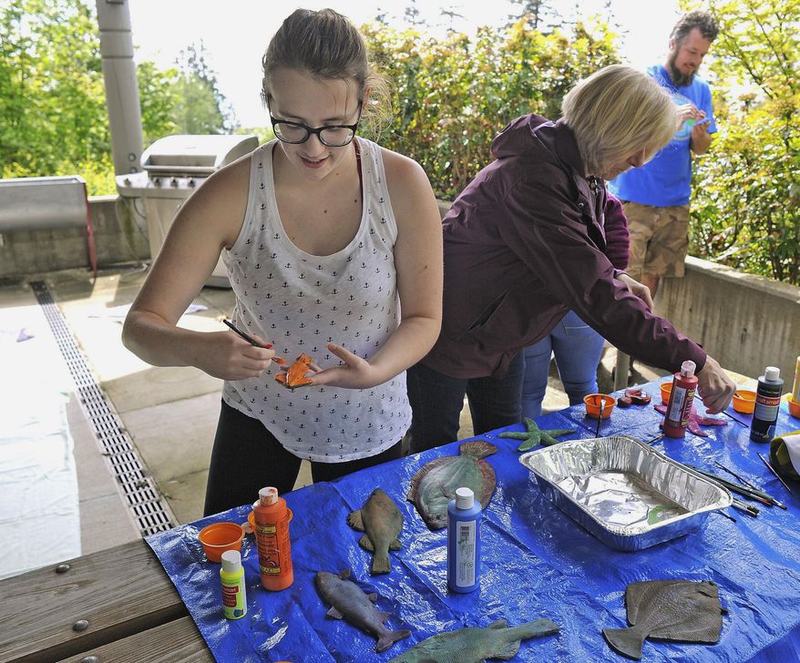ADVANCE FOR WEEKEND EDITIONS - In this Tuesday, May 9, 2017, photo, Alena Eldridge, an Arlington High School student also studying Ocean Research at Everett Community College, paints a rubber squid while making a T-shirt at the Breazeale Interpretive Center Washington. (Scott Terrell/Skagit Valley Herald via AP)
