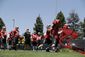 49ers_football_83727.jpg