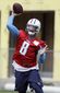 titans_mariota_football_61463.jpg
