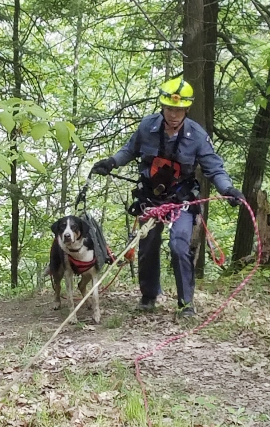 In this May 23, 3017, photo provided by New York State Office of Parks, Recreation and Historic Preservation, New York State Parks Police Officer Ryan Clancy, escorts "Skippy" just after using a harness and ropes to rescue the dog in Letchworth State Park, near Mount Morris, N.Y. Skippy was stranded about half-way down a 400-cliff in the Genesee River gorge. (Lt. James Hy/New York State Park Police via AP)
