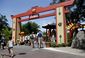 travel_theme_parks_florida_39008.jpg