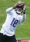 vikings_football_41486.jpg