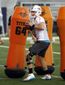 dolphins_football_71157.jpg