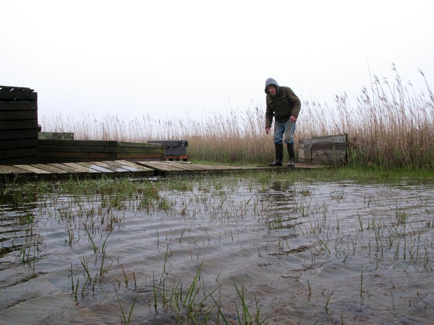 In this April 26, 2017, photo Jim O'Neill walks across a makeshift boardwalk he built in his back yard in Manahawkin N.J., because the property is almost always under water, even on sunny days. He lives in a low-lying area near the Jersey shore, and is often affected by back bay flooding. (AP Photo/Wayne Parry)