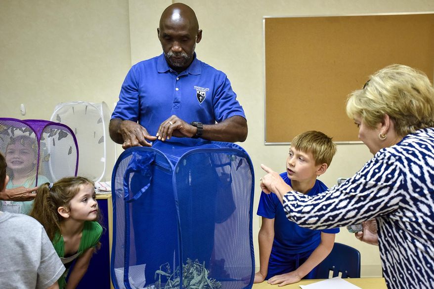 ADVANCE FOR USE JUNE 4, 2017-Joel Enge, center, unzips a mesh laundry basket to show kindergarten Sunday school students a monarch chrysalis at Colonial Hills Baptist Church in Tyler, Texas, on Sunday, May 14, 2017. Enge has been raising butterflies as a hobby for 16 years and typically does a butterfly release each year with either his students or his church. (Chelsea Purgahn/Tyler Morning Telegraph)