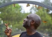 exchange_butterfly_keeper_33571.jpg