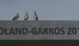 Three pigeons sit on an electronic scoreboard of the French Open tennis tournament at the Roland Garros stadium, in Paris, France. Tuesday, May 30, 2017. (AP Photo/Petr David Josek)