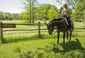 horses_no_longer_welcome_23780.jpg