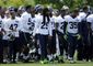 seahawks_football_74956.jpg