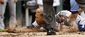 aptopix_indians_royals_baseball_26532.jpg