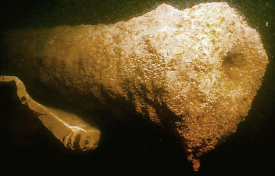 This image from a remote camera provided by the Lake Champlain Maritime Museum shows a cannon, believed to be from the Revolutionary War gunboat "Spitfire", on the bottom of Vermont's Lake Champlain. The Vermont museum wants to raise the Revolutionary War gunboat where it has rested since shortly after the 1776 Battle of Valcour Island, preserve it and then display it in a yet-to-be built New York museum. (Ernie Haas/Lake Champlain Maritime Museum via AP)