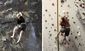 virtual_climbing_05766.jpg