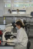 rape_kit_testing_51266.jpg