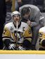 stanley_cup_penguins_predators_hockey_32666.jpg