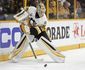 stanley_cup_penguins_predators_hockey_50380.jpg