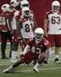 cardinals_football_48485.jpg