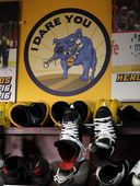 stanley_cup_predators_dog_hockey_39955.jpg