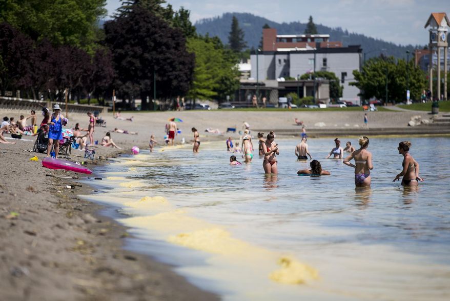 ADVANCE FOR WEEKEND EDITIONS, JUNE 10-11 - In this May 30, 2017 photo, beach goers wade in Lake Coeur d'Alene as pollen collects along the shoreline of City Beach in Coeur d'Alene, Idaho. Warmer weather has caused an increase in the yellow pine pollen, with grass pollen also causing eye and nose irritation for area residents. (Loren Benoit/Coeur D'Alene Press via AP)