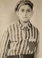 holocaust_survivor_film_87332.jpg
