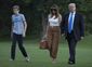 trump_41638.jpg
