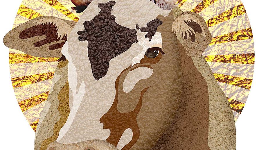 Sacred Cow of India Illustration by Greg Groesch/The Washington Times