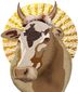 6_122017_b4-dsou-sacred-cow-8201.jpg