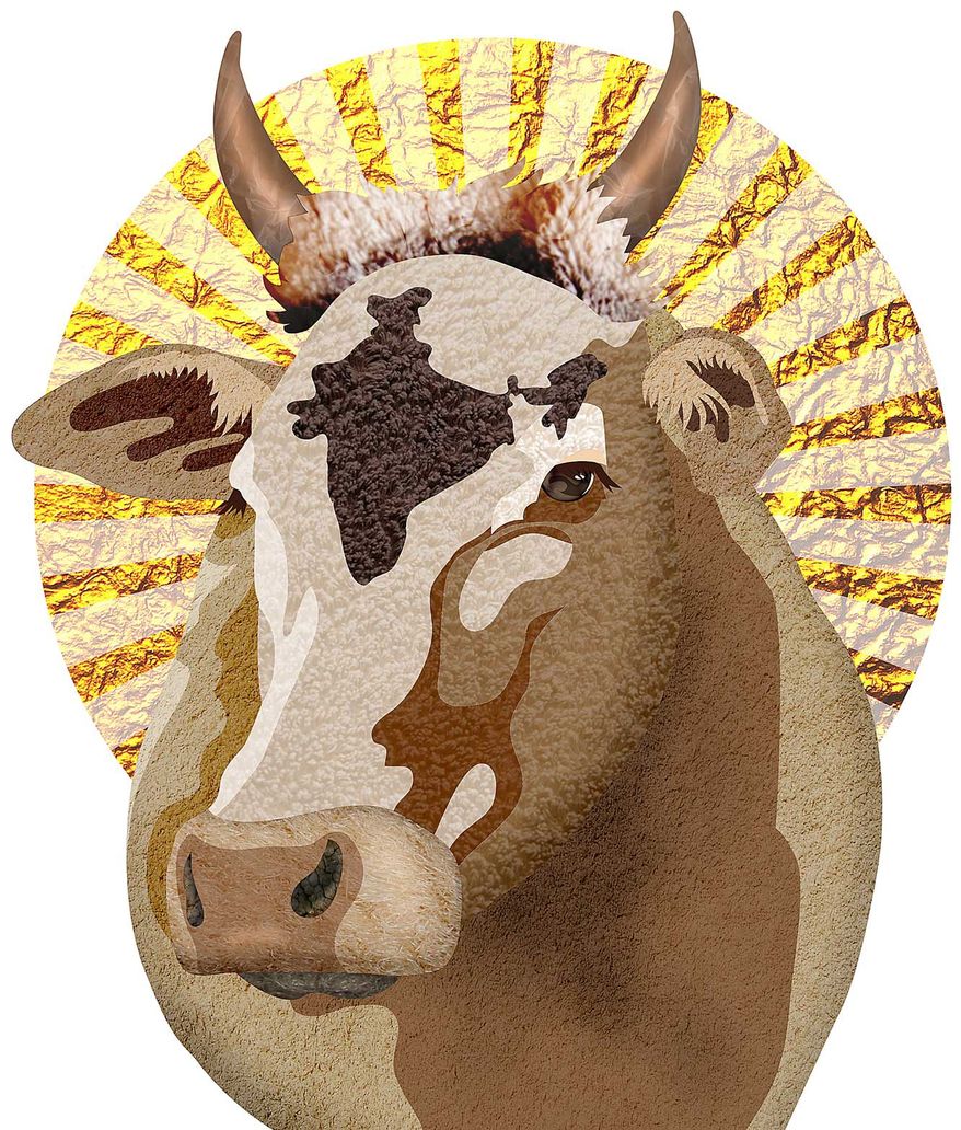 Sacred Cow of India Illustration by Greg Groesch/The Washington Times