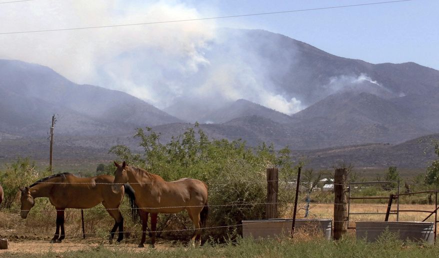 Several horses ignore the smoke from the 14,900 acre Lizard Fire east of Dragoon, Ariz., on June 11, 2017. The fire is burning through dry grass and shrubs and being pushed by erratic winds. A red flag warning is in effect because of the hazardous conditions. The Lizard Fire had merged earlier with the Dragoon Fire on Friday afternoon. The fire may have been started by lightning on Wednesday. (A.E. Araiza/Arizona Daily Star via AP)