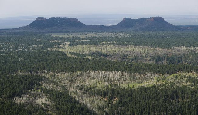 FILE--In this Dec. 28, 2016 file photo,the two buttes that make up the namesake for Utah's Bears Ears National Monument in southeastern Utah.  Interior Secretary Ryan Zinke is recommending that the new Bears Ears National Monument in Utah be reduced in size and says Congress should step in to designate how selected areas of the 1.3 million-acre site are categorized.  (Francisco Kjolseth/The Salt Lake Tribune via AP, file)/The Salt Lake Tribune via AP)