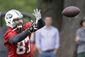 jets-decker_released_football_46942.jpg