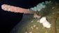 shipwreck_discovery_82356.jpg