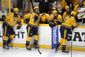 stanley_cup_penguins_predators_hockey_52403.jpg