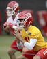 chiefs_camp_football_39262.jpg
