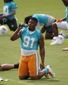dolphins_camp_football_74843.jpg