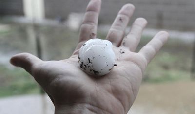 A man shows a piece of golf ball size hail that caused some damage in the area in Odessa, Texas, Wednesday, June 14, 2017. (Jacob Ford/Odessa American via AP)
