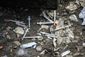train_track_heroin_market_70750.jpg