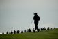 us_open_golf_16579.jpg
