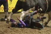 college_rodeo_bull_rider_injured_64737.jpg