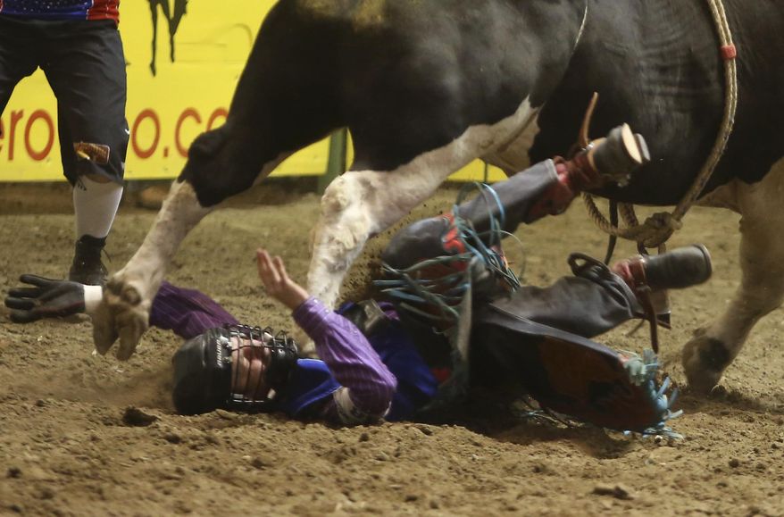 In this Thursday, June 15, 2017, photo, Odessa College bull rider Bradie Gray gets stomped in the chest after being thrown during the College National Finals Rodeo in Casper, Wyo. Odessa College coach C.J. Aragon said Gray, from Australia, suffered broken ribs, a bruised aorta and collapsed lungs after a bull threw him and stepped on his chest during competition Thursday night at the Casper Events Center. (Alan Rogers/The Casper Star-Tribune via AP)