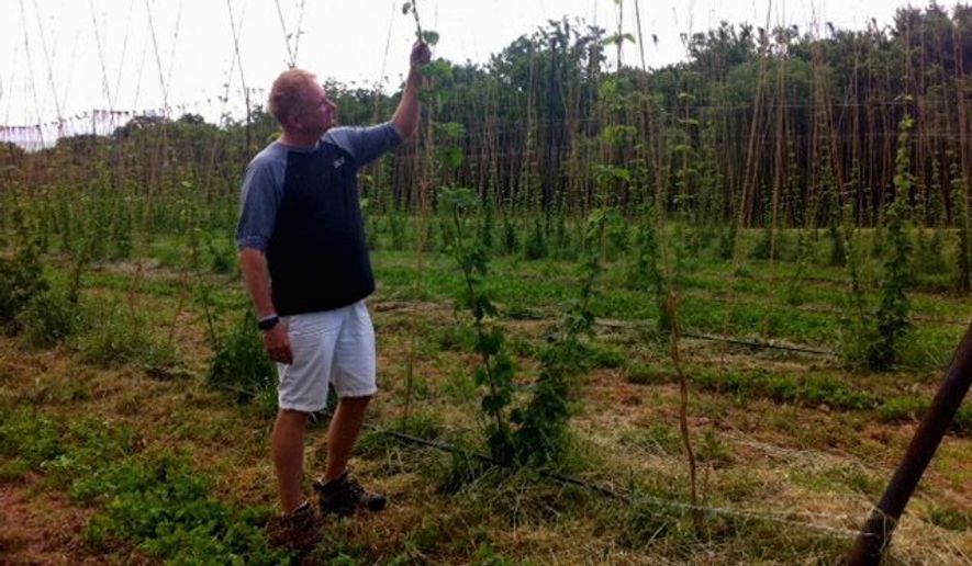 Jonathan Staples, owner of Black Hops Farm and Vanish Brewery in Lucketts, Virginia, says business is thriving. (Nicole Ault/The Washington Times)