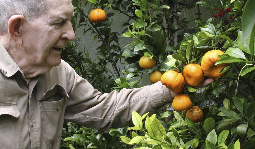 This June 9, 2017 photo, Russ Finch shows off his tango mandarins, a hybrid that contains no seeds in Alliance, Neb.  Finch has created greenhouses that run on geothermal heat. Geothermal heat produces heat from the ground through a singular heat source that dispenses heat through a tubing system.  He began selling his geothermal greenhouses with his business Greenhouse in the Snow about three years ago.  (Torri Brumbaugh/The Star-Herald via AP)
