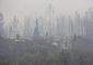 portugal_forest_fires_26541.jpg