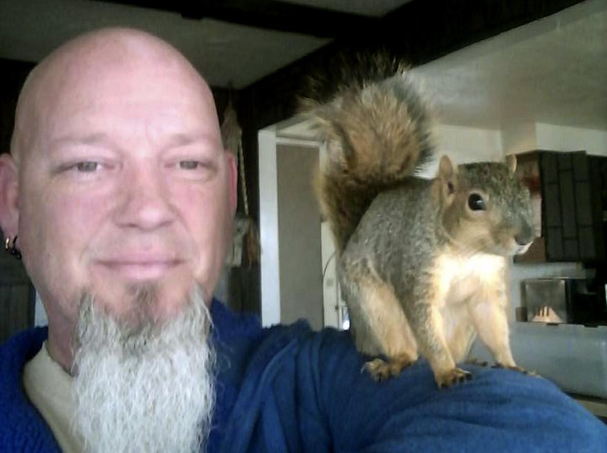 This undated photo provided by Adam Pearl shows Pearl with his pet squirrel Joey in Meridian, Idaho. Pearl says Joey was so young he still had his eyes closed when friends found him on the ground late in the summer of 2016 after he fell out of his nest. Pearl says Joey climbed onto his shoulder for an affectionate goodbye earlier in June 2017, then scampered up a backyard apple tree at his Meridian home and hasn't been seen since. Joey made headlines in February 2017, when police nabbed a burglary suspect who reported fleeing a home after being attacked by a squirrel. (Adam Pearl via AP)