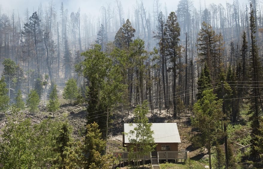 Smoke rises between the trees as a wildfire burns along State Route 143, Sunday, June 18, 2017, the primary road to the southern Utah ski town of Brian Head, Utah. Firefighters were hoping to have a blaze near a southwestern Utah ski town 10 percent contained by Sunday. Some 750 residents and visitors have been evacuated. No injuries have been reported.Leah Hogsten /The Salt Lake Tribune via AP)