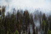 utah_wildfire-town_evacuation_31212.jpg